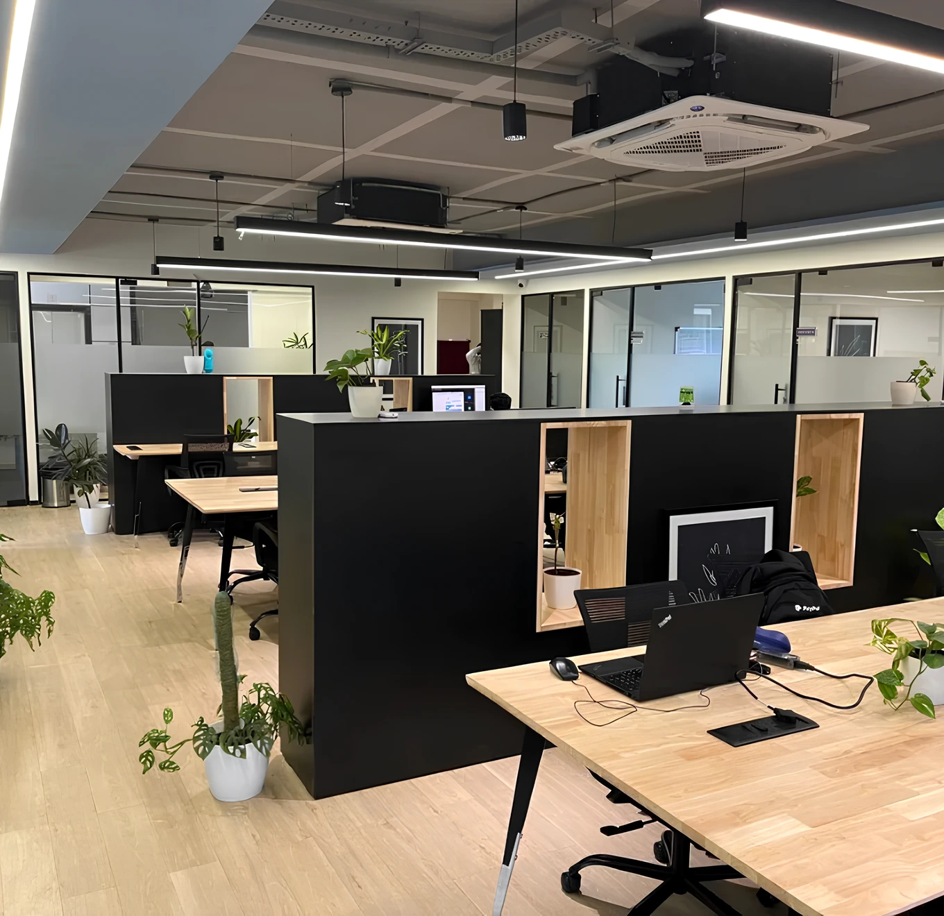office5
